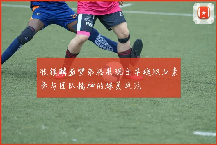 张镇麟盛赞弗格展现出卓越职业素养与团队精神的球员风范